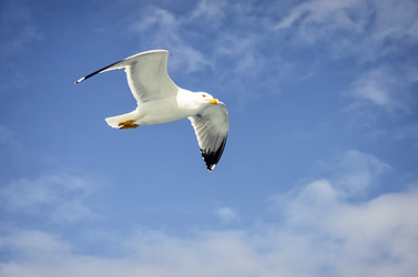 Similar image 21391743