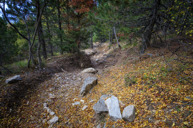 Similar image 21391744