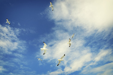 Similar image 21392027