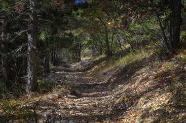 Similar image 21392028