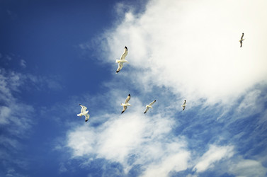 Similar image 21392031