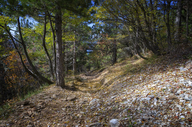 Similar image 21392032