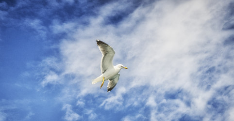 Similar image 21392033