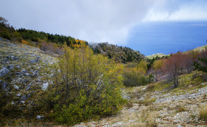 Similar image 21392034