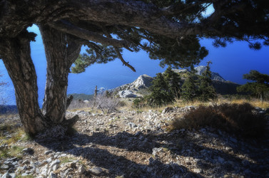 Similar image 21392239