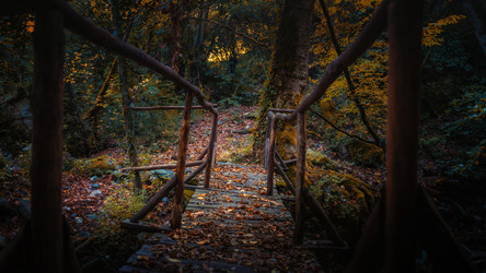 Similar image 21394610