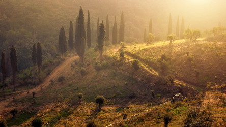 Similar image 21392243