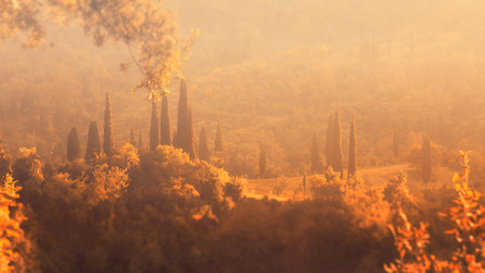 Similar image 21392245