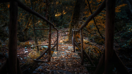 Similar image 21392246