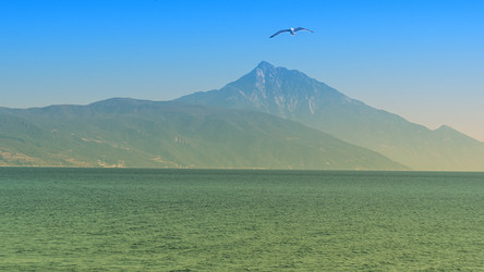 Similar image 21392247