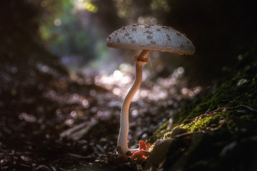 Similar image 21392248