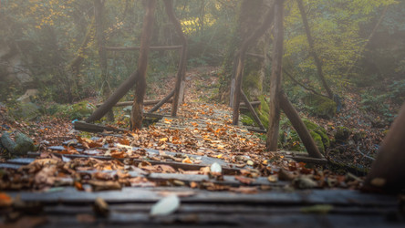 Similar image 21392249