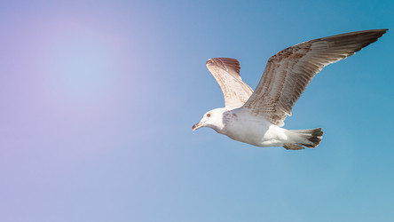 Similar image 21392527