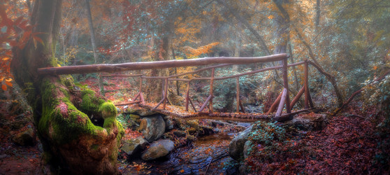 Similar image 21392529