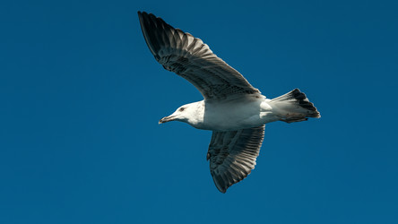 Similar image 21392530