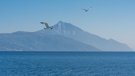 Similar image 21392534