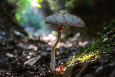 Similar image 21392890