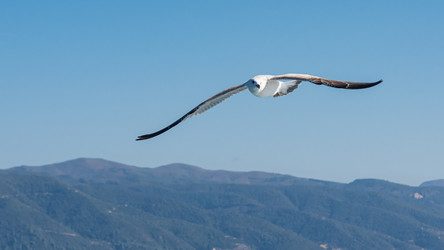 Similar image 21392892