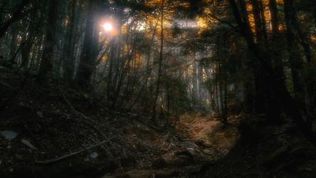 Similar image 21392893