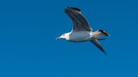 Similar image 21392894