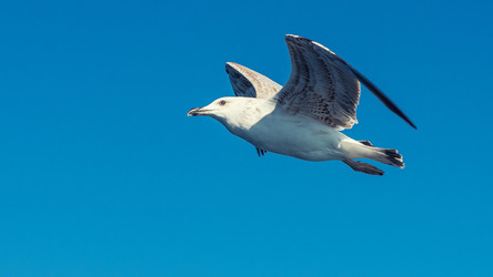 Similar image 21392895