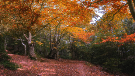 Similar image 21392896