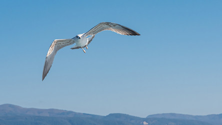 Similar image 21392901