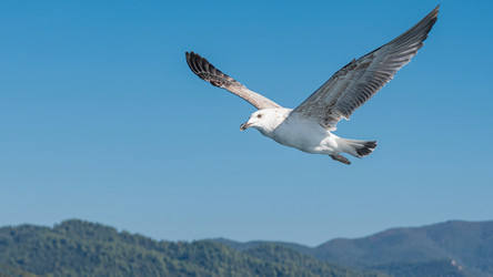 Similar image 21392903