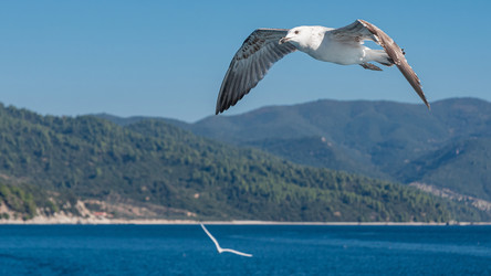 Similar image 21393217