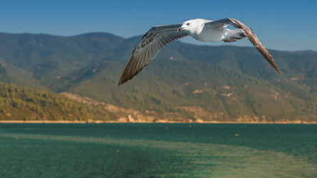 Similar image 21393219