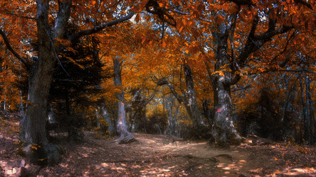 Similar image 21393220