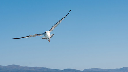 Similar image 21393221