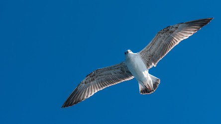 Similar image 21393223