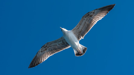 Similar image 21393225