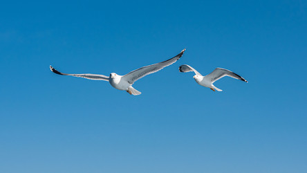 Similar image 21393489