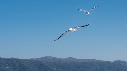 Similar image 21393491