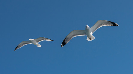 Similar image 21389695