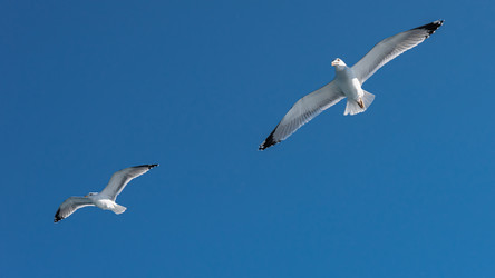 Similar image 21389697