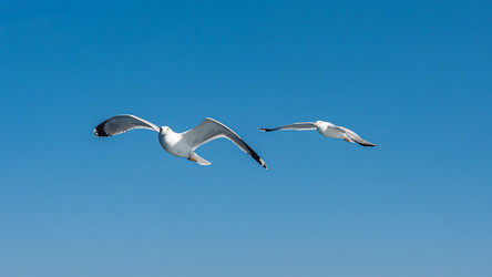 Similar image 21389994