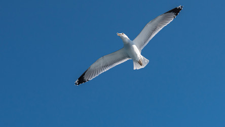 Similar image 21389996