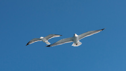 Similar image 21389998