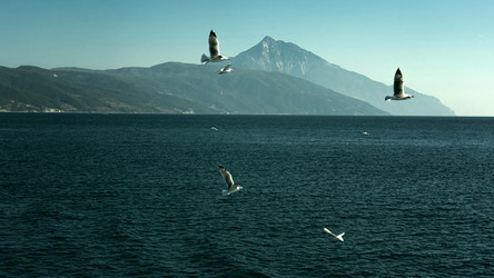 Similar image 21390004