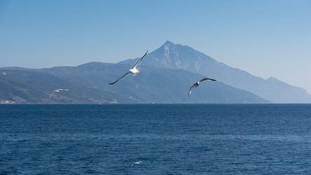 Similar image 21390008