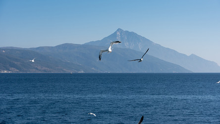 Similar image 21390803