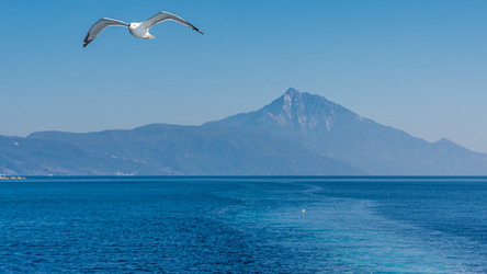 Similar image 21390871