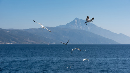 Similar image 21390874