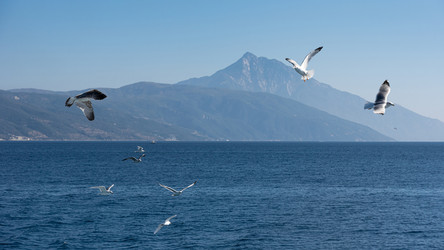 Similar image 21390935