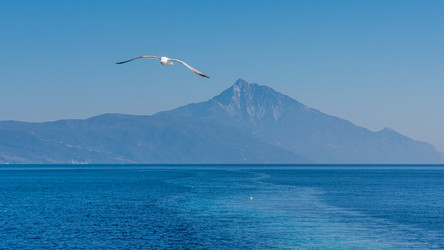 Similar image 21391051