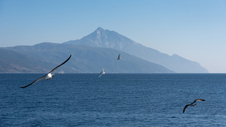 Similar image 21391052