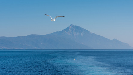 Similar image 21391053